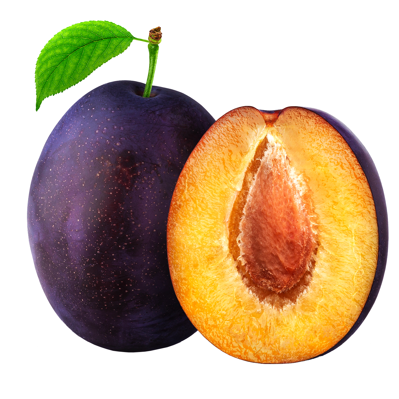 Plum