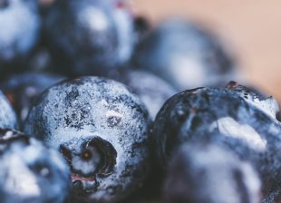 Blueberry