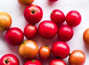 Gooseberry
