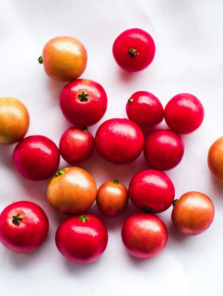 Gooseberry