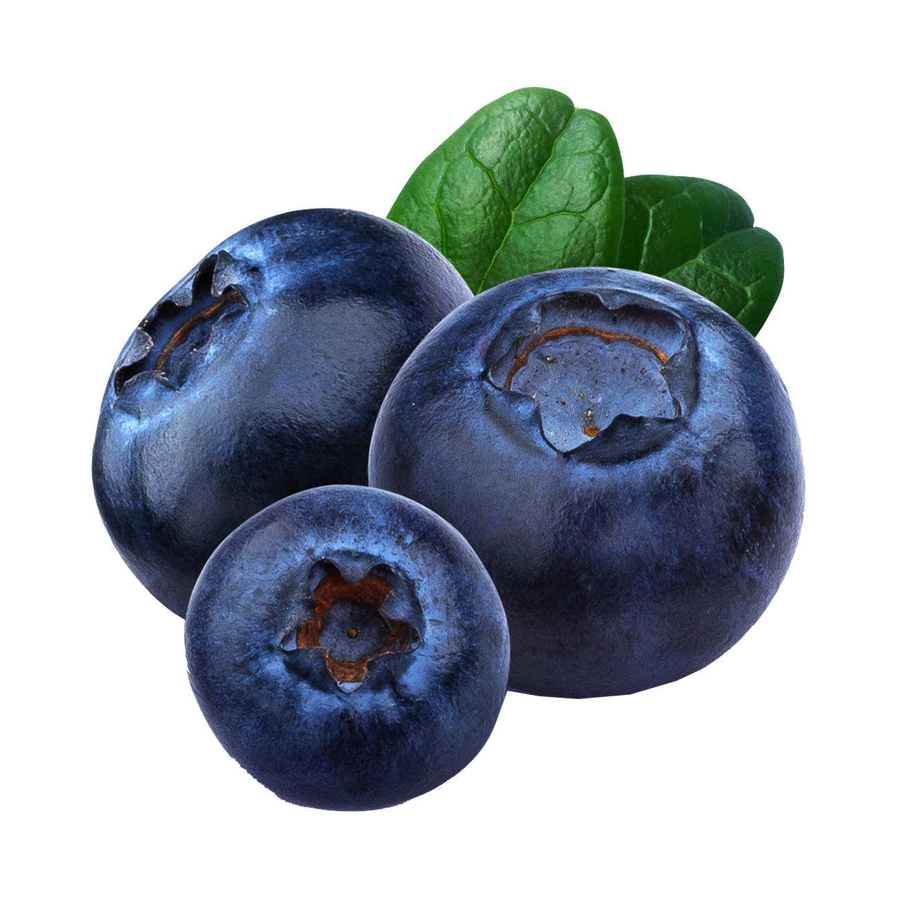 Blueberries