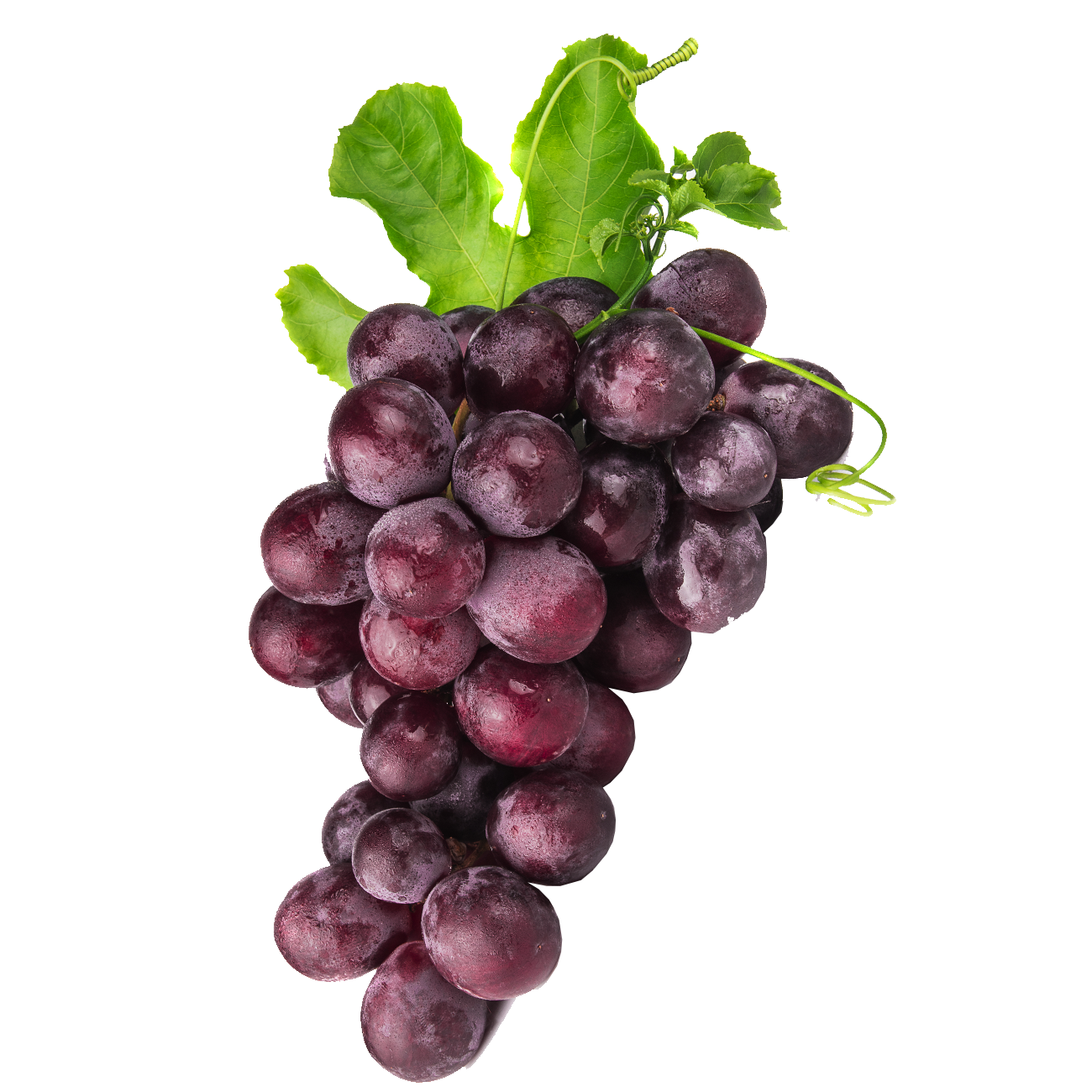 Grapes